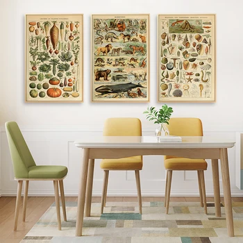 Винтажный постер с овощами фруктами грибами, антикварное настенное искусство, Ботаническая картина, научная Крафт-бумага